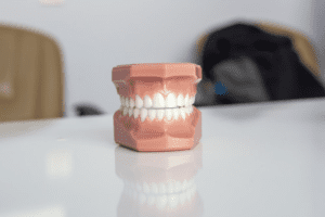 A fake teeth model